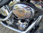 Klikněte pro detailní foto č. 13 - Harley-Davidson FLSTF Fat Boy