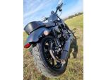 Klikněte pro detailní foto č. 6 - Harley-Davidson XL 883N Sportster Iron