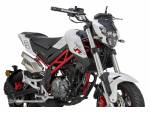 Klikněte pro detailní foto č. 1 - Benelli TNT 125 WHITE, BLACK, GREY, GREEN