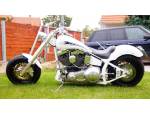 Klikněte pro detailní foto č. 1 - Harley-Davidson Harley Davidson S&S