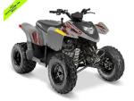 Klikněte pro detailní foto č. 1 - Polaris Phoenix 200 - Dětská čtyřkolka - AKCE, dárek ZDARMA