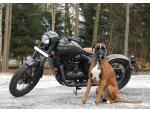 Klikněte pro detailní foto č. 14 - Jawa 350 Pérák BLACK - AKCE, dárek ZDARMA