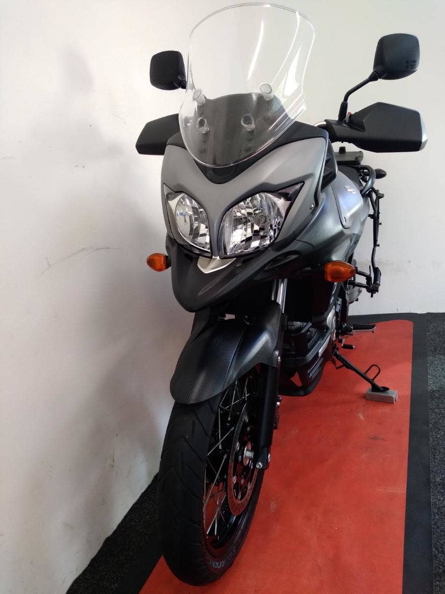delkevic v strom 650