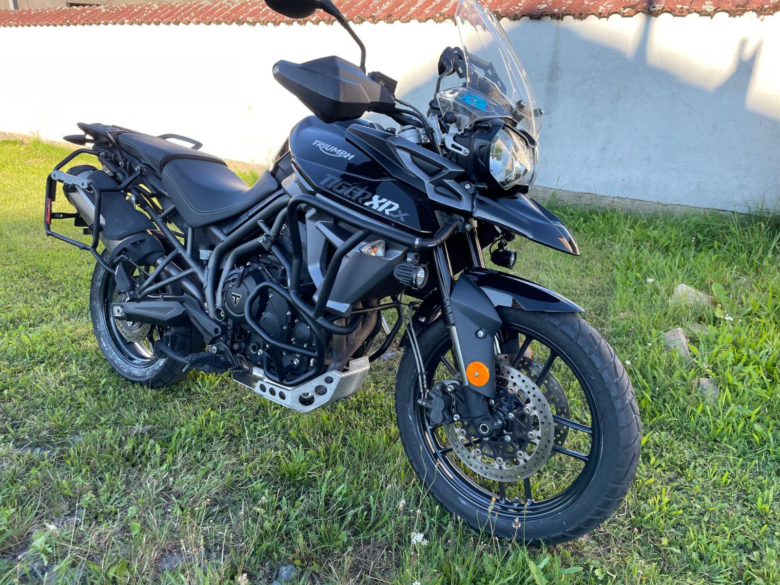 tiger 800 xr