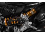 Klikněte pro detailní foto č. 11 - Ducati 1299 Panigale R Final Edition 