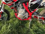 Klikněte pro detailní foto č. 2 - Leramotors Pitbike Killer PRO 300cc H2O 21/18 červený