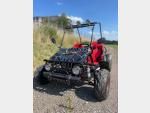 Detail nabídky - Ostatní DĚTSKÁ ATV BUGGY 125CC NITRO SPIDER