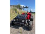 Klikněte pro detailní foto č. 1 - Ostatní DĚTSKÁ ATV BUGGY 125CC NITRO SPIDER