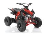 Klikněte pro detailní foto č. 1 - Ostatní JJM ATV PANTHER 110