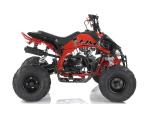 Klikněte pro detailní foto č. 3 - Ostatní JJM ATV PANTHER 110