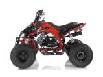 Klikněte pro detailní foto č. 5 - Ostatní JJM ATV PANTHER 110