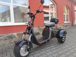 Klikněte pro detailní foto č. 1 - Leramotors Elektrická tříkolka Lera  SCOOTERS C5 1000W Černá