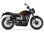 Klikněte pro detailní foto č. 3 - Triumph Scrambler 900, IHNED SKLADEM, STEALTH EDICE