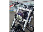 Klikněte pro detailní foto č. 13 - Harley-Davidson FXSB Softail Breakout