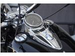 Klikněte pro detailní foto č. 5 - Harley-Davidson FLSTC Heritage Softail Classic 103