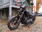 Klikněte pro detailní foto č. 5 - Harley-Davidson FXLRS Low Rider S