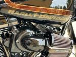 Klikněte pro detailní foto č. 9 - Harley-Davidson FXSBSE Softail Breakout