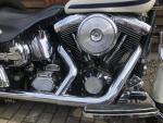Klikněte pro detailní foto č. 12 - Harley-Davidson FLSTS Heritage Springer