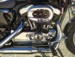 Klikněte pro detailní foto č. 10 - Harley-Davidson XL 1200 C Sportster 110 Years Anniversary
