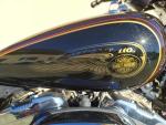 Klikněte pro detailní foto č. 7 - Harley-Davidson XL 1200 C Sportster 110 Years Anniversary