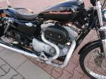 Klikněte pro detailní foto č. 11 - Harley-Davidson XL 883C Sportster Custom