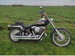 Klikněte pro detailní foto č. 1 - Harley-Davidson FXST 1340 Softail Custom
