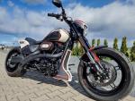 Detail nabídky - Harley-Davidson FXDRS Screamin´Eagle Stage IV. 117