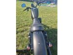 Klikněte pro detailní foto č. 12 - Harley-Davidson XL 883N Sportster Iron