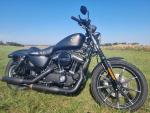 Klikněte pro detailní foto č. 1 - Harley-Davidson XL 883N Sportster Iron