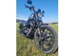 Klikněte pro detailní foto č. 3 - Harley-Davidson XL 883N Sportster Iron