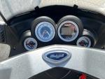 Klikněte pro detailní foto č. 9 - Malaguti Madison RS250