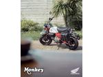 Klikněte pro detailní foto č. 4 - Honda Z125 Monkey - SKLADEM