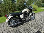 Klikněte pro detailní foto č. 3 - Triumph Bonneville T 100