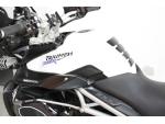 Klikněte pro detailní foto č. 11 - Triumph Tiger 800 XC