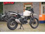 Klikněte pro detailní foto č. 5 - Royal Enfield Himalayan 450 - KAZA BROWN - AKCE