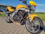 Klikněte pro detailní foto č. 1 - Triumph Speed Triple