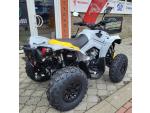 Klikněte pro detailní foto č. 5 - CAN-AM Renegade 650 XXC ABS MY24 SPZ, AKCE ŘÍJEN