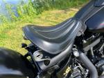 Klikněte pro detailní foto č. 11 - Harley-Davidson FLSTSB Softail Cross Bones