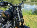 Klikněte pro detailní foto č. 2 - Harley-Davidson FLSTSB Softail Cross Bones