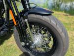 Klikněte pro detailní foto č. 3 - Harley-Davidson FLSTSB Softail Cross Bones