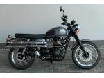 Klikněte pro detailní foto č. 3 - Triumph Scrambler 900