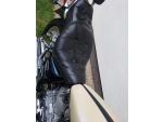 Klikněte pro detailní foto č. 10 - Yamaha XV 1100 Virago