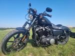 Klikněte pro detailní foto č. 11 - Harley-Davidson XL 883N Sportster Iron