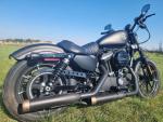 Klikněte pro detailní foto č. 3 - Harley-Davidson XL 883N Sportster Iron