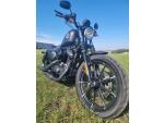 Klikněte pro detailní foto č. 7 - Harley-Davidson XL 883N Sportster Iron