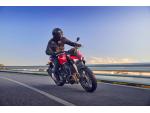 Klikněte pro detailní foto č. 5 - Honda CB 1000 Hornet - PŘEDOBJEDNÁVKA S BONUSEM