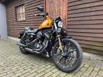 Klikněte pro detailní foto č. 2 - Harley-Davidson XL 883N Sportster Iron