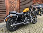 Klikněte pro detailní foto č. 3 - Harley-Davidson XL 883N Sportster Iron