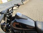 Klikněte pro detailní foto č. 8 - UM Motorcycles Renegade Freedom 300