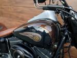 Klikněte pro detailní foto č. 10 - Harley-Davidson FLSTF Fat Boy